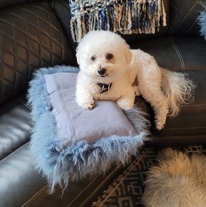 Meet your Posher, Judeen